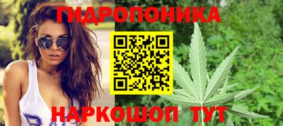 стаф Нальчик