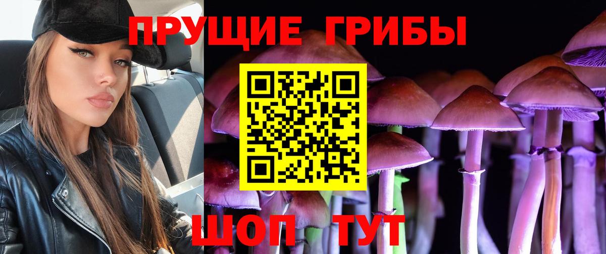 Псилоцибиновые грибы Cubensis Солнечногорск
