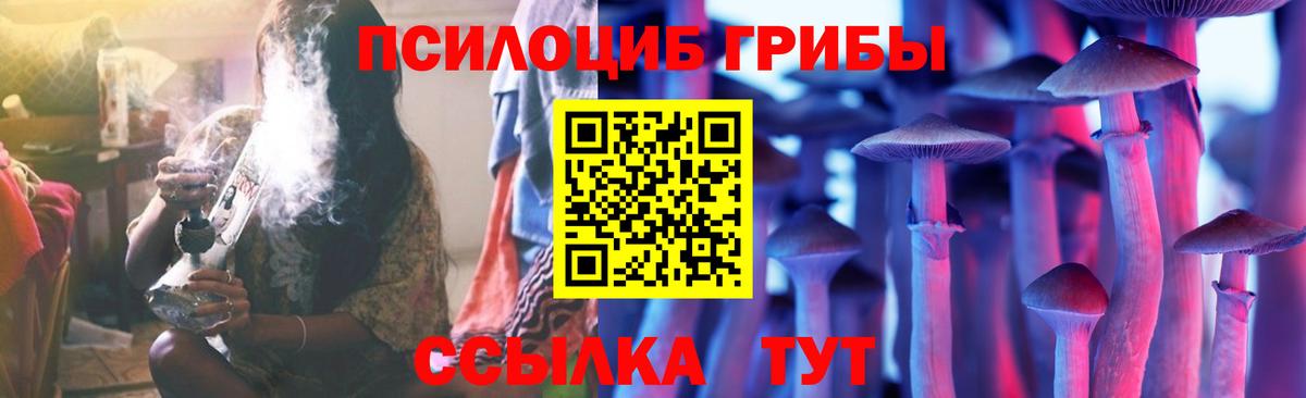 Солнечногорск  Псилоцибиновые грибы Magic Shrooms  Вход с VPN 